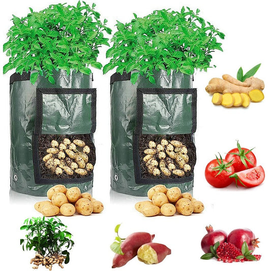 Vegetable Grow Bag